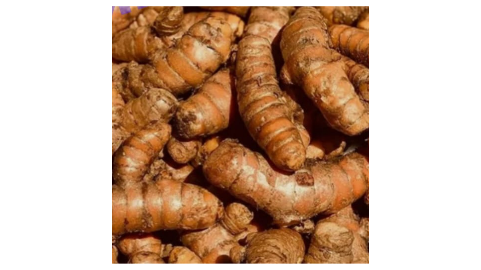 Peeled Nutmeg