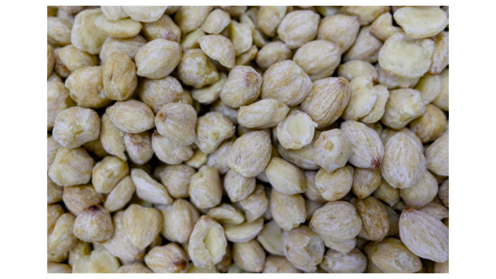 Cardamom