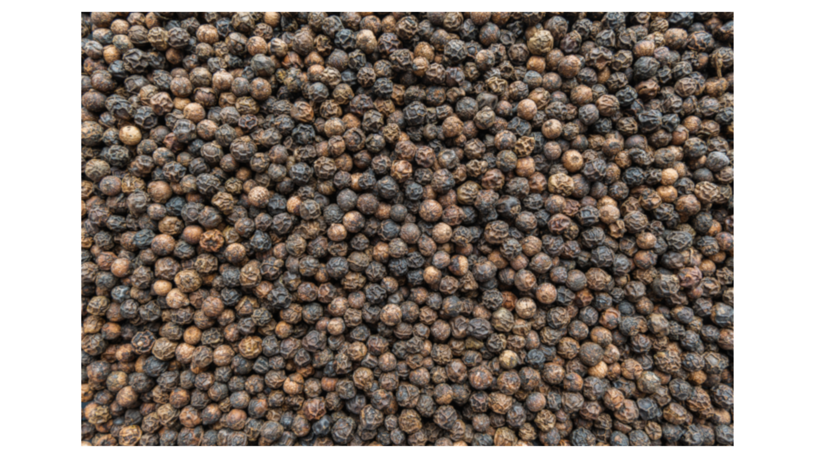 Cardamom