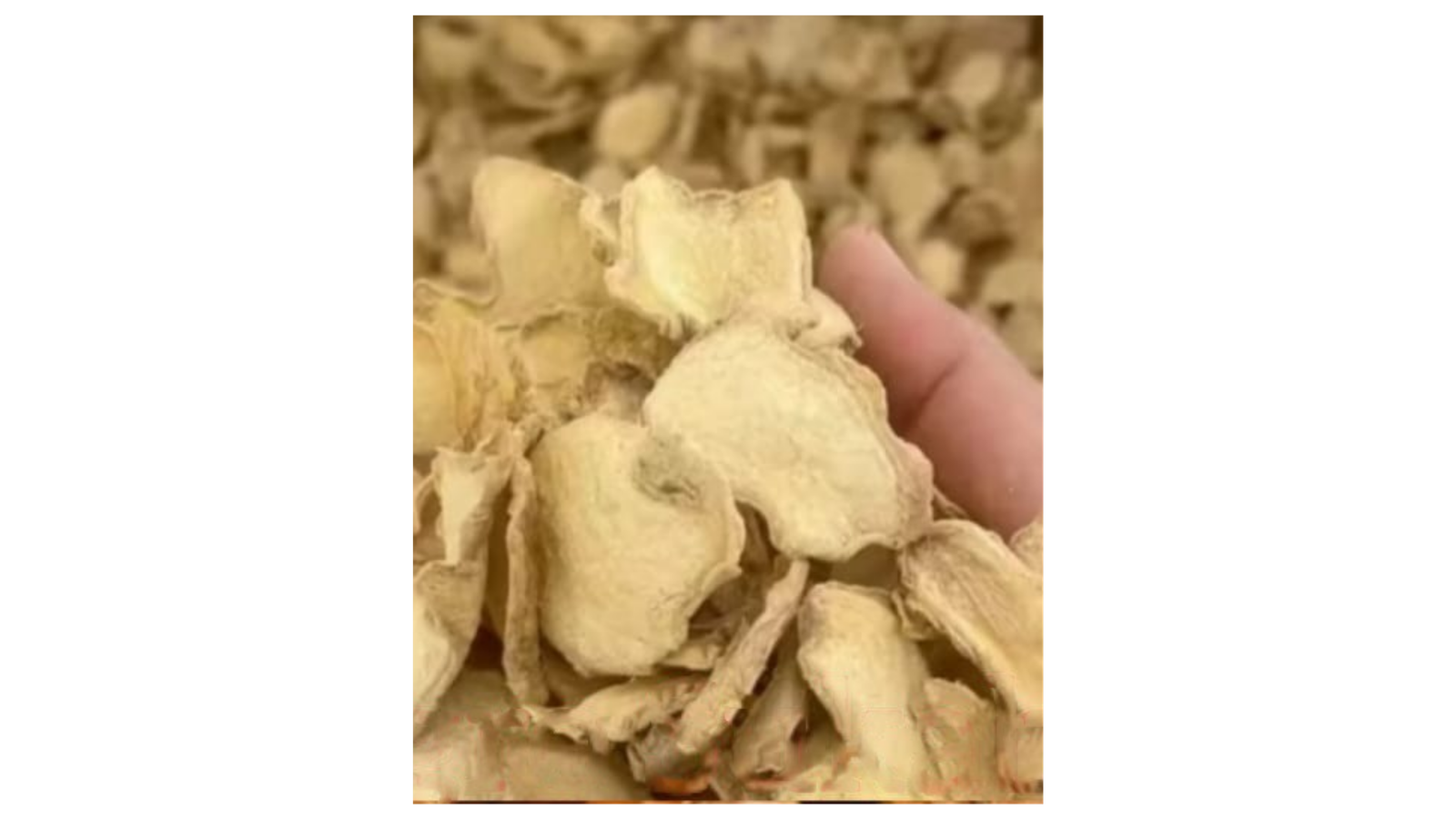 Dried Ginger