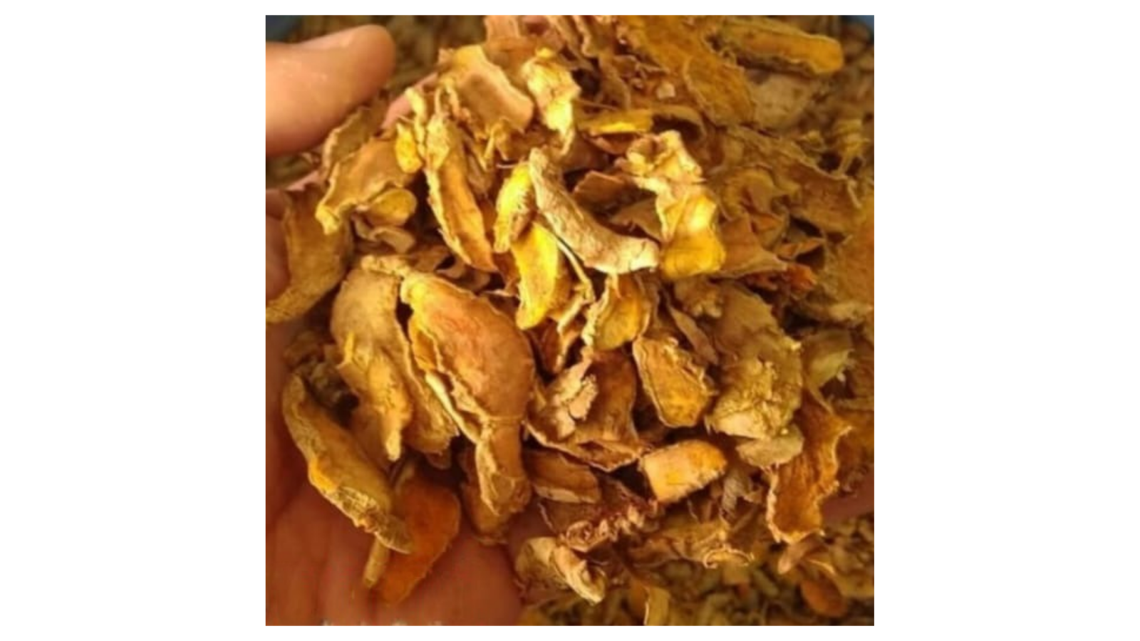Arabica Beans